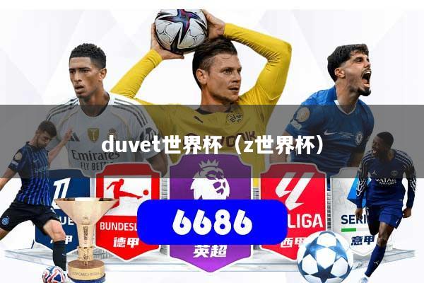 duvet世界杯（z世界杯）